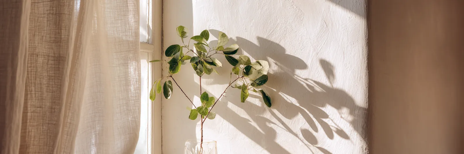 A man standing at an open window in early morning light
